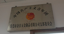中國共產(chǎn)主義青年團(tuán)